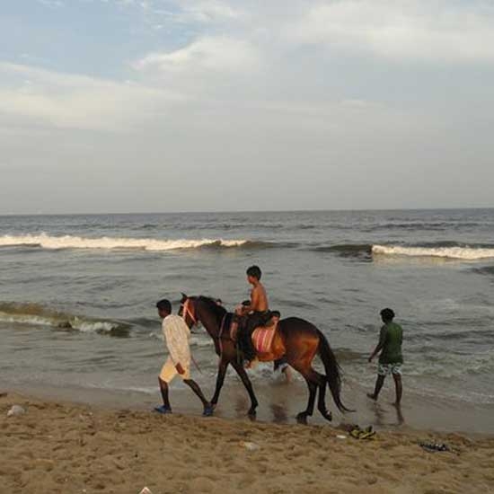 amateur horse riders