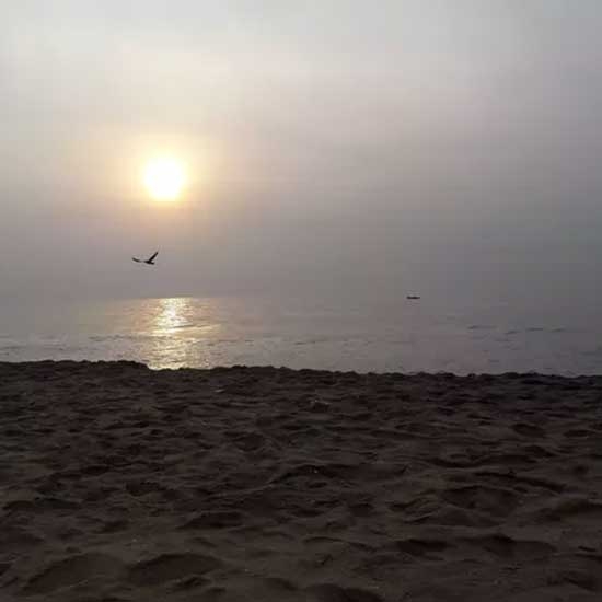Cake cutters at beach