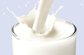 BJP to conduct milk fest