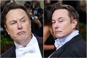 Elon Musk reveals Tesla’s India plans in tweet - Read on for more!