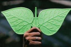 Court rejects middleman’s bail in Two Leaves symbol case