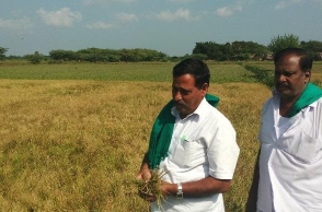 Drought may affect foodgrain production for next two years