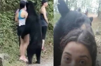 bear sniff hiker girl hair who poses for selfie chilling video