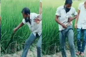 Video of a man pulling out 'snake' is going viral on social media!
