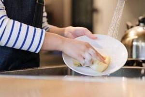 Woman breaks into stranger's house to wash dishes and pet dog - what?