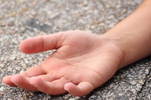 2-year-old hit by school bus, dies