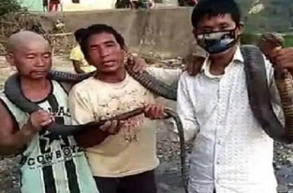 Arunachal Hunters Kill King Cobra For Meal Amid Lockdown