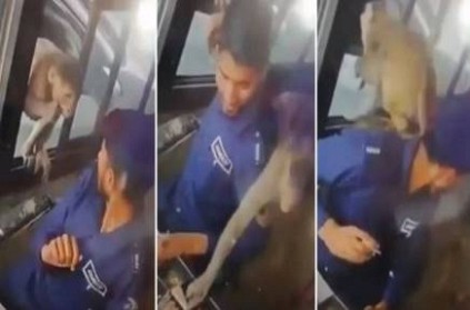 At toll booth in Kanpur, monkey arrives in car to steal Rs 5000: WATCH