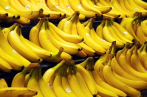 Youths escape with Rs 90 lakh, leaves guard with bananas