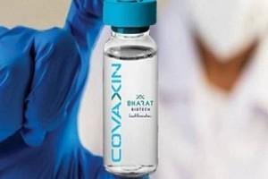 Bharat Biotech-ICMR's Covaxin is Safe! Experts Share 'Latest Update' and Availability in India     
