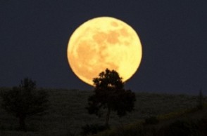 Biggest moon of the year! Check how