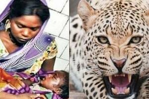 Brave mom fights leopard with bare hands after it attacks 18-month-old baby