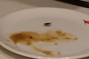 Cockroach found in meal at Air India's first class lounge
