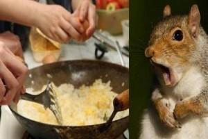 Couple eats raw squirrel faces tragic end!