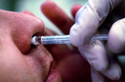 covid19 vaccine injected via nose found to prevent infection mice