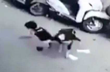 Dog savagely attacks two-year-old girl, break her neck by shaking her