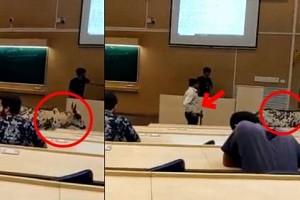 Engineering everywhere! Video: Cow enters IIT-Bombay classroom; institute plans cow shelter