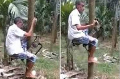 Farmer on bike climbs coconut tree; viral video. Internet Shocked