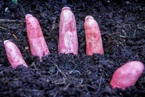 #JusticeForMadhu! Half burnt body of a college girl found hanging on a tree. People demand justice