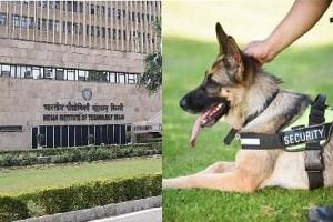 "Need 'BA/BSc/BCom/BTech' for Dog Handler Job" - IIT, Delhi Clarifies on Viral JOB Notice! - Interesting!