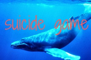 Indian cities on top 10 in global Blue whale challenge