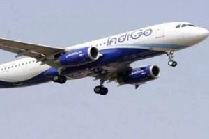 Indigo Flight Forgets Luggage Of All Passengers At Airport, Takes Off; Social Media Angry! 