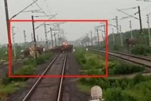Watch Video: Group Of Elephants Escape Severe Mishap On Railway Track