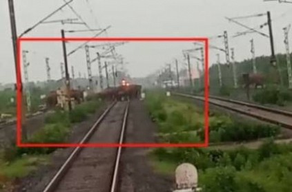Loco-pilot stops train, saves lives of elephant herd: Video Viral