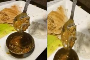 SHOCKING Viral Video: Dead Lizard Found in Sambar served by Popular Chennai-Based South Indian Restaurant!