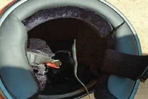 Man Rides Bike For 11 Km With Poisonous Snake Hiding Inside His Helmet 