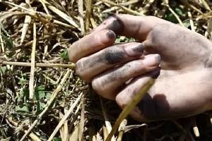 Naked, headless body of a woman found in lake