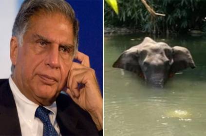 Ratan Tata Seeks Justice for the Killing of Elephant in Kerala