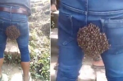Swarm of Bees Gathered on Man\'s \'Unlikely Place\': Watch Video
