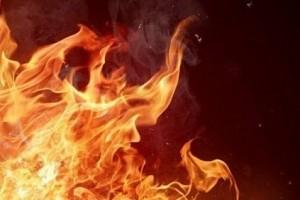 Telangana politician attempts suicide after raid at house