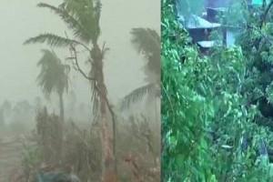 Video Inside! Trees uprooted, villages submerged - Cyclone Fani hits Odisha!