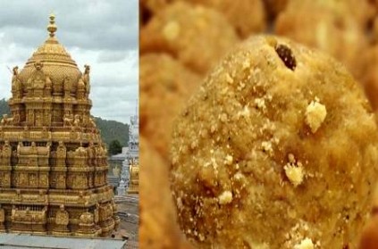 TTD Changes Tirupati Laddu Price; Only One Free Laddu For One!