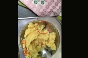 Two allegedly held for putting cockroach in food at Indira Canteen