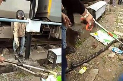 Video: King cobra snake in Indian super fast train rescued