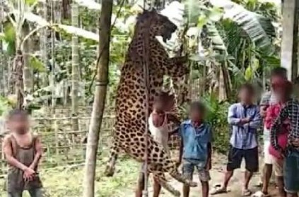 Villagers kill leopard, take eyes out, chop off paws