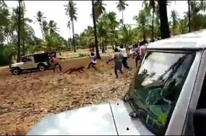 Watch Video: Leopard Killed By Karnataka Mob In Front Of Forest Ranger