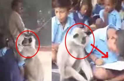 Watch: Video of monkey going to school goes viral!