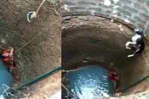 Watch! Woman Risks Her Life, Climbs Down Well To Save Dog; Hailed 'Hero'