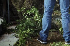 Woman shot by neighbour, as she stopped him urinating outside her house