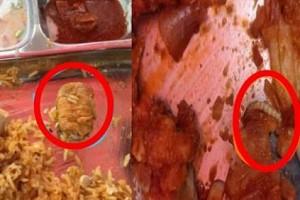Shocking Pictures! Worms and bandaid in food served at IT Park