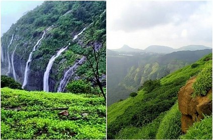 Over 600 lost their way in Lonavla forest since 2005