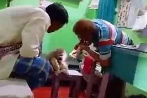 Injured monkey visits clinic in Bihar to get treatment - Video goes viral!