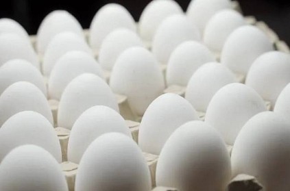 Karnataka hen lays cashew shaped eggs people wondered