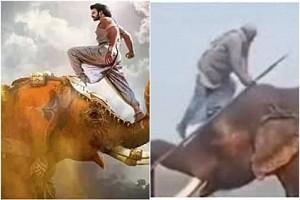 Video of a mahout climbing on an elephant in Baahubali style is going viral - Watch here!