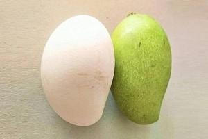 Pic-Talk: A mango-shaped egg's click goes viral on social media - More details!