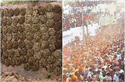 Ugadi celebrated in Andhra Pradesh differently